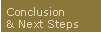 Conclusion and Next Steps
