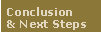 Conclusion and Next Steps