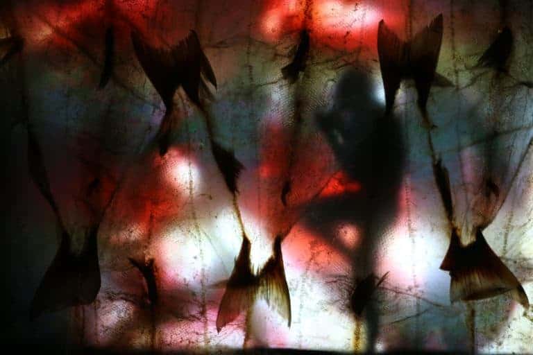 Joel Isaak created a video installation, Łuqa’ ch’k’ezdelghayi “Visions of Summer,” in which his solo dance is projected on the back of a salmon skin screen.